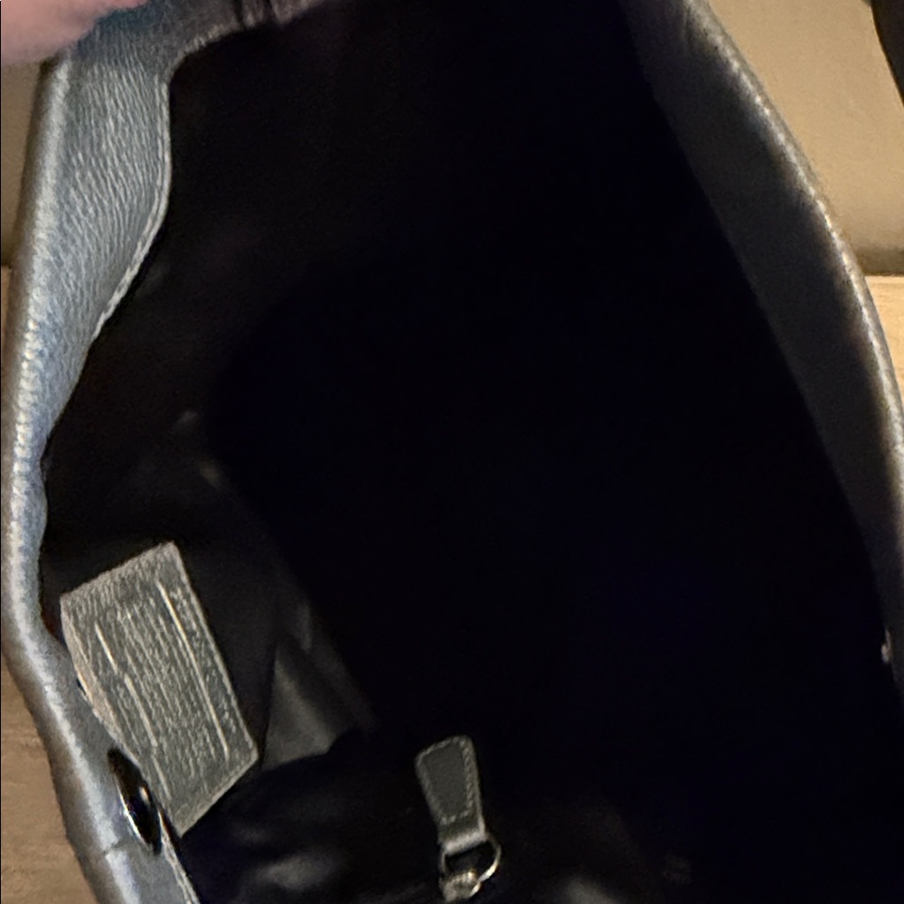 Coach Penelope Hobo Shoulder Bag Gray/Silver - Picture 7 of 11